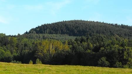 Agroturystyka Zacisze Czarna Owca Brzezanka エクステリア 写真