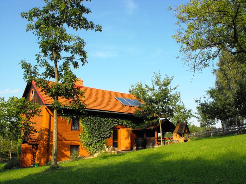 Agroturystyka Zacisze Czarna Owca Brzezanka エクステリア 写真