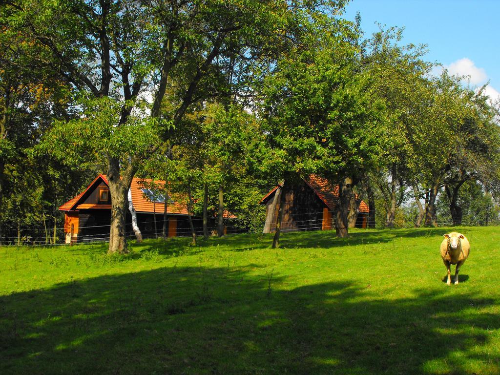 Agroturystyka Zacisze Czarna Owca Brzezanka エクステリア 写真