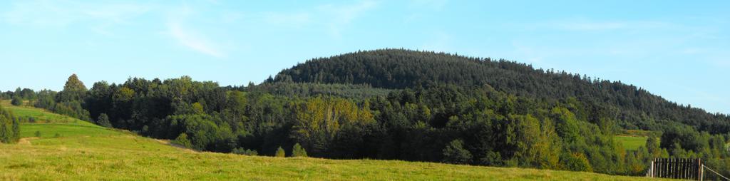 Agroturystyka Zacisze Czarna Owca Brzezanka エクステリア 写真