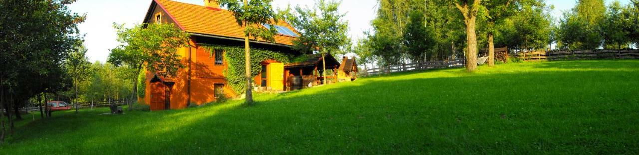 Agroturystyka Zacisze Czarna Owca Brzezanka エクステリア 写真