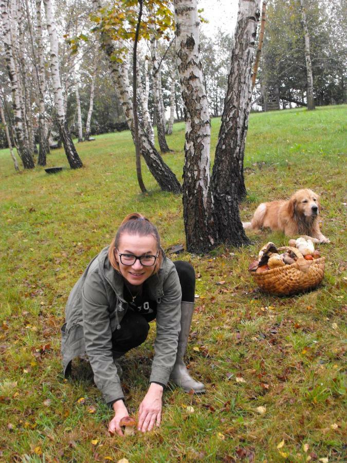Agroturystyka Zacisze Czarna Owca Brzezanka エクステリア 写真