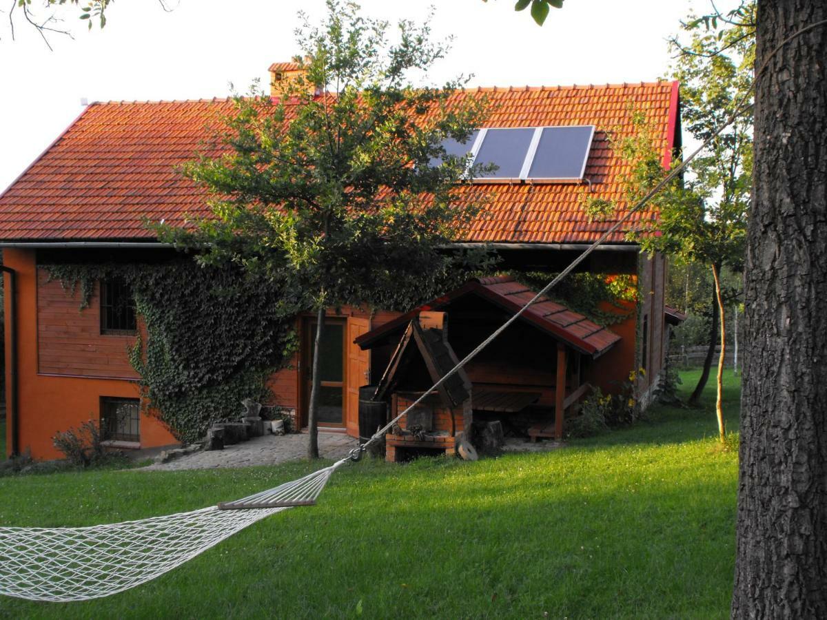 Agroturystyka Zacisze Czarna Owca Brzezanka エクステリア 写真