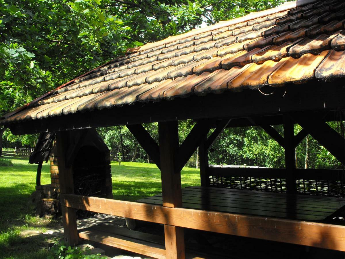 Agroturystyka Zacisze Czarna Owca Brzezanka エクステリア 写真